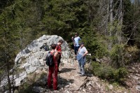/album/fotogalerie-divoka-transylvania-7-15-5-2015/img-1838-jpg/