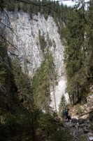 /album/fotogalerie-divoka-transylvania-7-15-5-2015/img-1891-jpg/