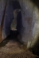 /album/fotogalerie-divoka-transylvania-7-15-5-2015/img-1921-jpg/