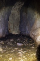 /album/fotogalerie-divoka-transylvania-7-15-5-2015/img-1929-jpg/