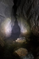 /album/fotogalerie-divoka-transylvania-7-15-5-2015/img-1933-jpg/