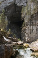 /album/fotogalerie-divoka-transylvania-7-15-5-2015/img-1971-jpg/