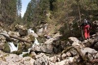 /album/fotogalerie-divoka-transylvania-7-15-5-2015/img-1977-jpg/