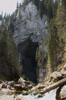 /album/fotogalerie-divoka-transylvania-7-15-5-2015/img-1991-jpg/