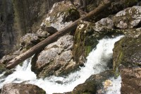 /album/fotogalerie-divoka-transylvania-7-15-5-2015/img-1992-jpg/