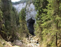 /album/fotogalerie-divoka-transylvania-7-15-5-2015/img-2001-panorama-jpg/
