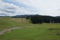 /album/fotogalerie-divoka-transylvania-7-15-5-2015/img-2030-jpg/