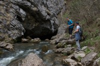 /album/fotogalerie-divoka-transylvania-7-15-5-2015/img-2038-jpg/
