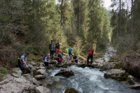 /album/fotogalerie-divoka-transylvania-7-15-5-2015/img-2041-jpg/
