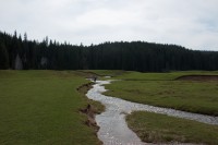 /album/fotogalerie-divoka-transylvania-7-15-5-2015/img-2044-jpg/