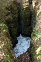 /album/fotogalerie-divoka-transylvania-7-15-5-2015/img-2056-jpg/